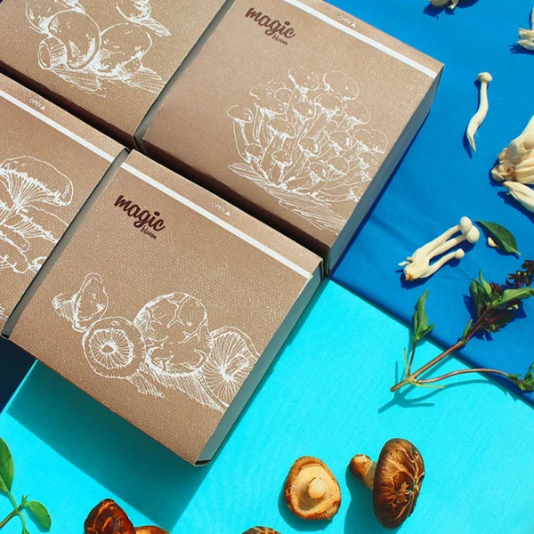 Mushroom Boxes - Image 2
