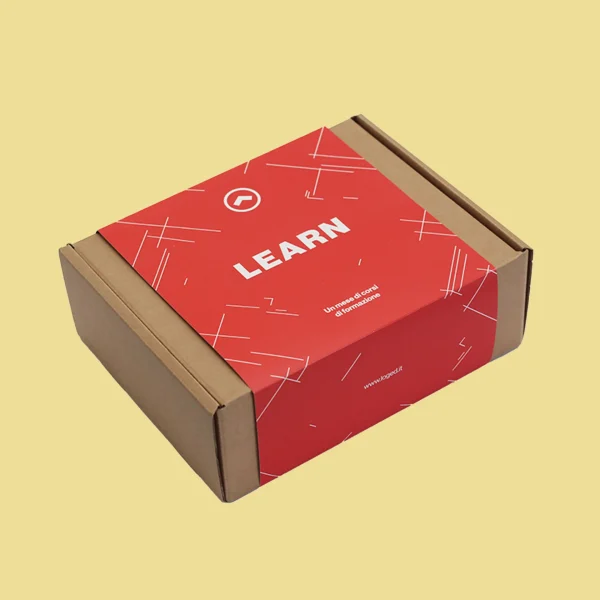 Literature Mailer Boxes - Image 2