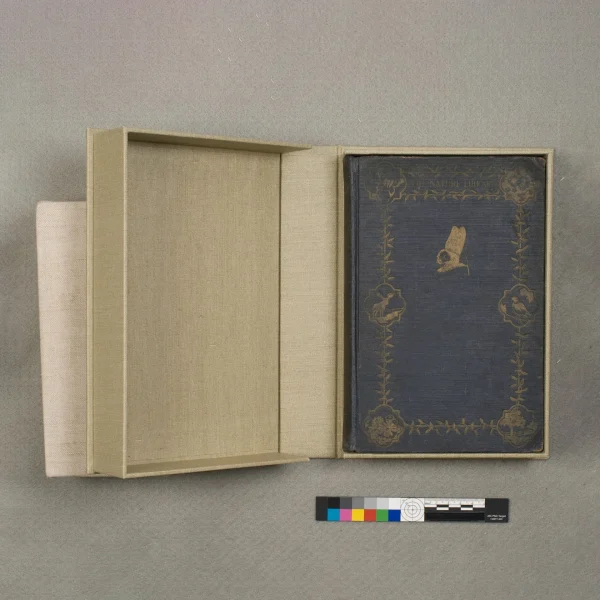 Clamshell Boxes - Image 3