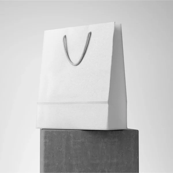White Paper Bags