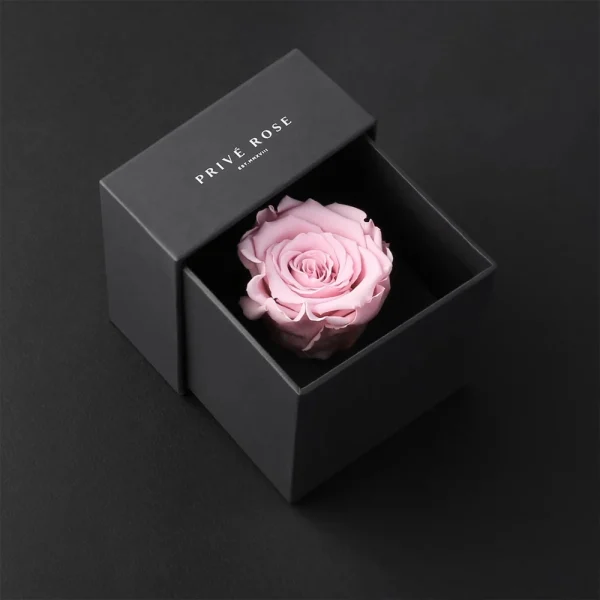 Origami Boxes