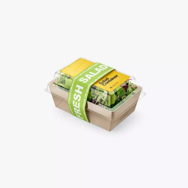 Salad Boxes - Image 3